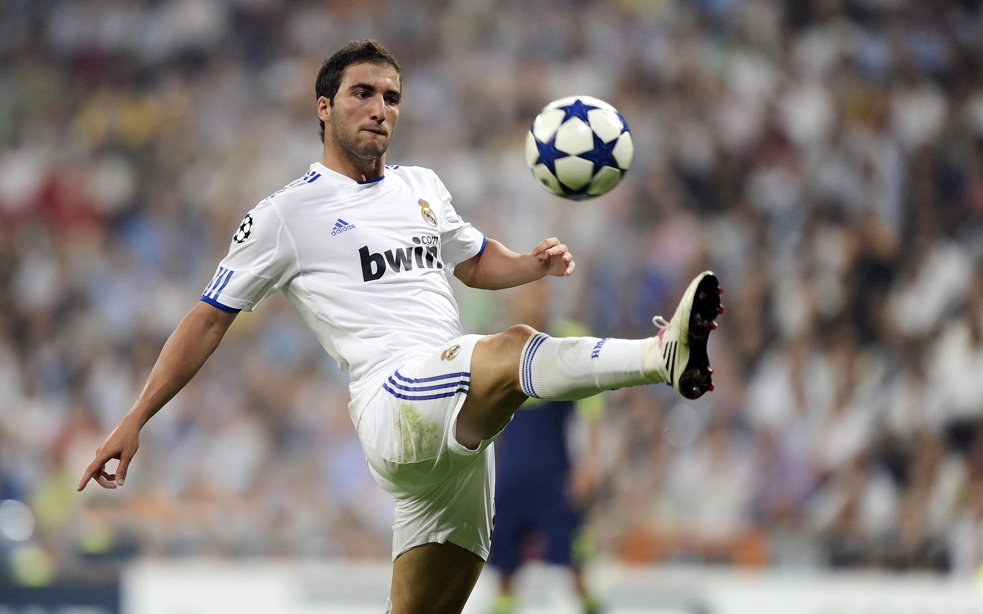 _场馆设计新思路:融合环保元素打造智慧场地_,场馆环境